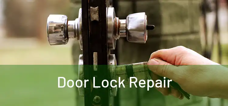 Door Lock Repair